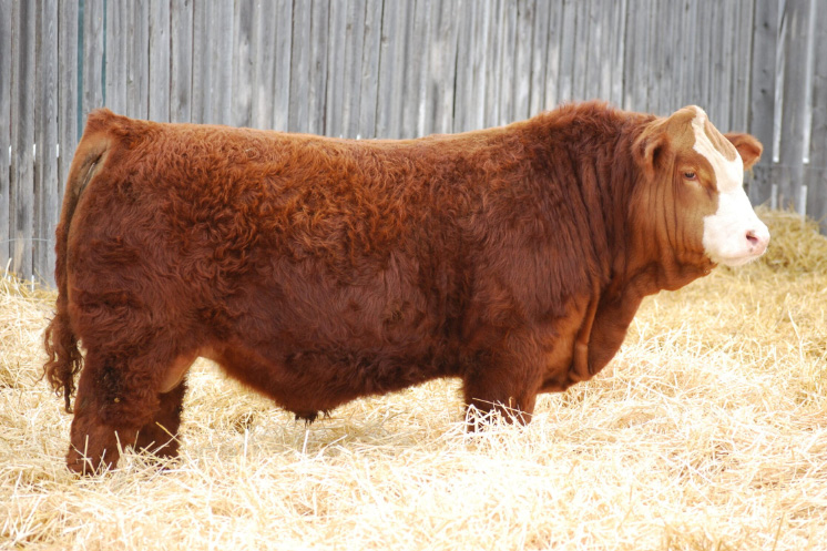 Sire5